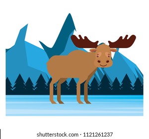 moose in winter forest landscape