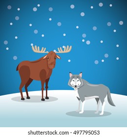 moose and wolf with snowy background image 