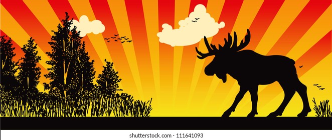 Moose in the woods, creative vector illustration of hunting.
