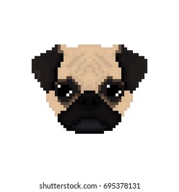 Mops dog head in pixel art style. Vector illustration. 