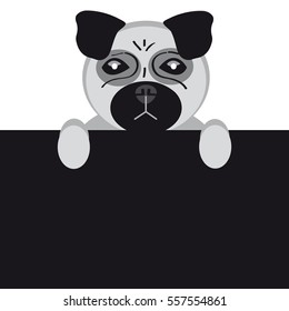 Mops dog on white background. Vector illustration