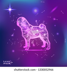 mops dog. Polygonal wireframe dog silhouette on gradient background. Space, futuristic, zodiac concept. Shine neon style vector illustration