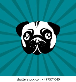 Mops dog pug