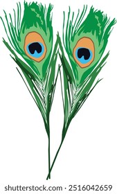 mor pankh drawing or clipart illustration isolated on white background—beautiful Krishna mor pankh illustration png.	
