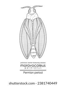 Moravocoleus permianus, a Permian period prehistoric beetle tshekardocoleidae, black and white line art. Perfect for coloring and educational purposes