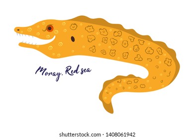Moray. Card with explanation. Dangerous fish of seas and oceans. Vector