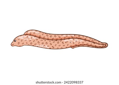 Moray eel character in cartoon art style. Undersea animal with elongated body. Underwater predator. Vector illustration isolated on a white background.