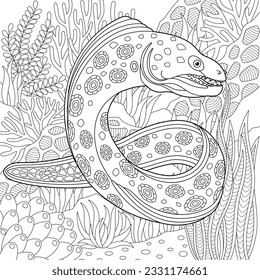 Moray eel coloring page. Outline sea design in mandala and zentangle style