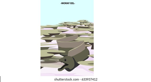 moray eel with coral reef under water sand