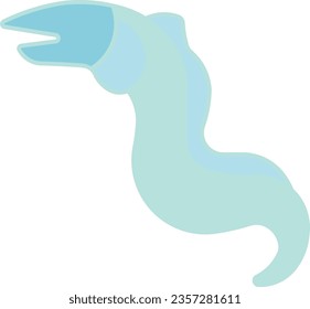 moray eel eel moray marine fishing