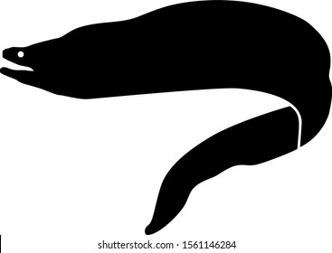 Moray Eel Silhouette Vector Graphic