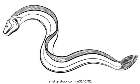 930+ Free Download Eel Tattoo Png Idea Tattoo Images