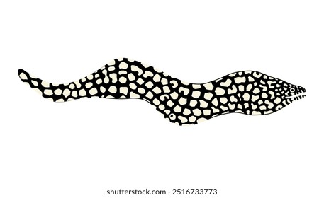 Moray icon, simple drawing of conger eel spotted fish.