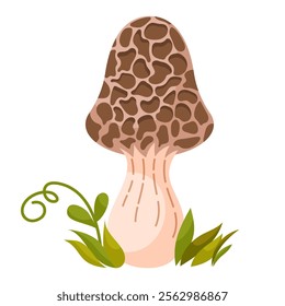 Morchella vulgaris mushroom, morel. Edible forest mushroom. Forest grass and leaves. Cartoon vector illustration on a white background.