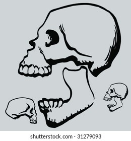 more cartoon skulls