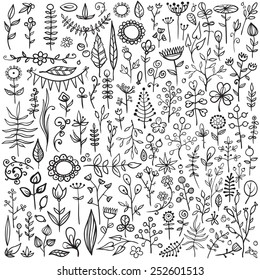 More than 100 creative handsketched floral doodles. Really big hand drawn set of different flowers, leafs, berries, and other nature elements