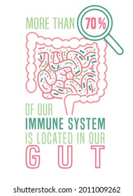 More than 70 percent of our immune system is located in our gut. Medical poster. Modern outline style. Scientific graphic design. Editable vector illustration isolated on a white background.