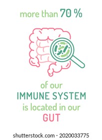 More than 70 percent of our immune system is located in our gut. Medical poster. Modern outline style. Scientific graphic design. Editable vector illustration isolated on a white background.