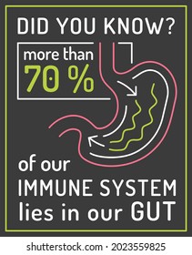 More Than 70 Percent Of Our Immune System Is Located In Our Gut. Medical Poster. Modern Outline Style. Scientific Graphic Design. Editable Vector Illustration Isolated On A Dark Background.