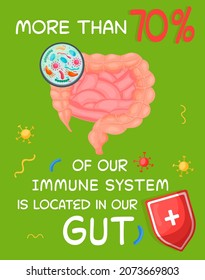 More than 70 percent of our immune system is located in our gut. Medical poster. Modern cartoon style. Scientific graphic design. Editable vector illustration isolated on a colourful background.