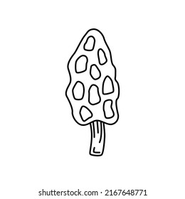 Morel  icon in line style icon, isolated on white background