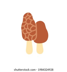 Morel icon. Vector isolated flat color icon. Modern glyph sticker design. Illustrations of mushrooms. Food ingredients.