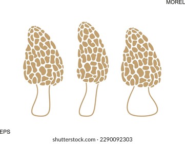 Morel logo. Isolated morel on white background