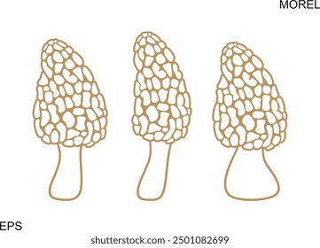 Morel logo. Isolated morel on white background