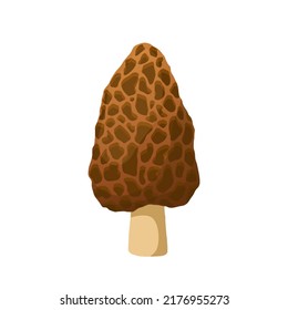 Morel-Pilz-Cartoon-Vektorgrafik. Waldpilze, Bio-Naturnahrung, frischer Pilzpilz. einzelne Farbgrafik