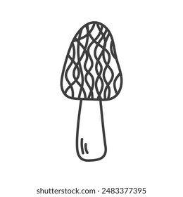 Morel Mushroom Doodle Line Icon. Forest Fungus hand drawn symbol. Row food ingredient. Outline vector illustration