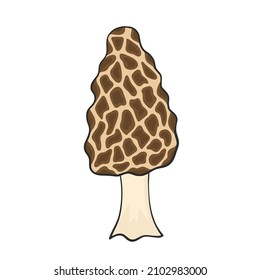 morel mushroom hand drawn for design 