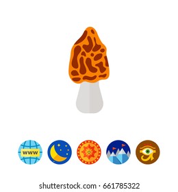 Morel Mushroom Icon