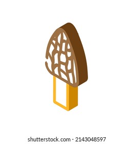 Morel Pilz isometrische Symbol Vektorgrafik. Morel Pilzzeichen. einzelne Symbolillustration