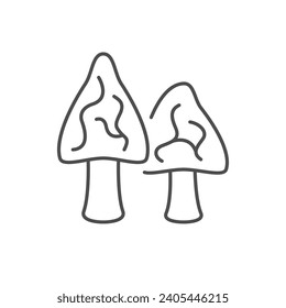 Morel mushroom line outline icon