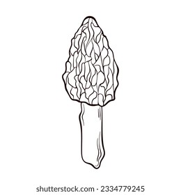 Morel Pilz Logo in einer Linie Art Stil. Gesundes vegetarisches Essen. Handgezeichneter Pilzvektor einzeln auf weißem Hintergrund.