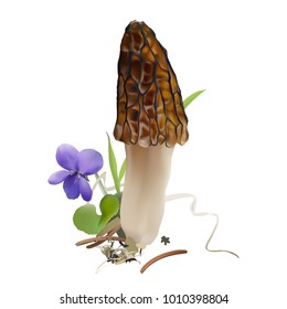 Morel mushroom in natural environment. Morchella rufobrunnea. Realistic vector illustration on white background.

