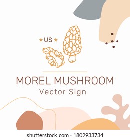 Morel mushroom vector emblem template in contemporary organic style isolated on white background. Modern fungi concept.