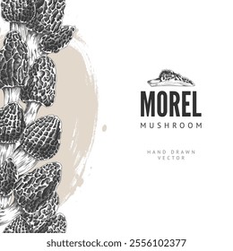 Morel mushrooms engraved hand drawn vector border design. Raw forest fungus morel with spongy cap. Natural healthy organic vegetarian food. Morchella fungi bundle sketch on watercolor stain