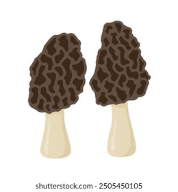 morel mushrooms icon- vector illustration