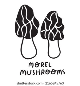 Morel mushrooms. vector outline hand drawn icon.