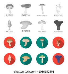 Morel, oyster, green amanita, actarius indigo.Mushroom set collection icons in monochrome,flat style vector symbol stock illustration web.