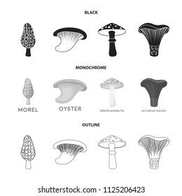 Morel, oyster, green amanita, actarius indigo.Mushroom set collection icons in black, monochrome, outline style vector symbol stock illustration web.