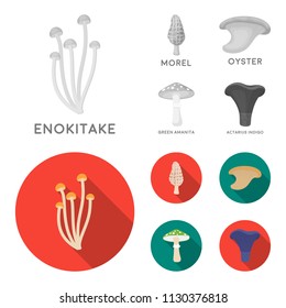 Morel, oyster, green amanita, actarius indigo.Mushroom set collection icons in monochrome,flat style vector symbol stock illustration web.