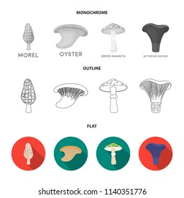 Morel, oyster, green amanita, actarius indigo.Mushroom set collection icons in flat,outline,monochrome style vector symbol stock illustration web.