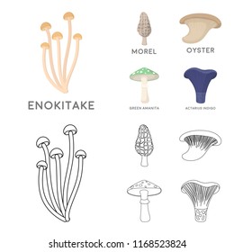 Morel, oyster, green amanita, actarius indigo.Mushroom set collection icons in cartoon,outline style vector symbol stock illustration web.