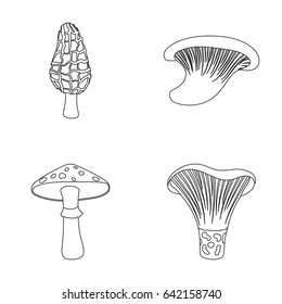 Morel, oyster, green amanita, actarius indigo.Mushroom set collection icons in outline style vector symbol stock illustration web.