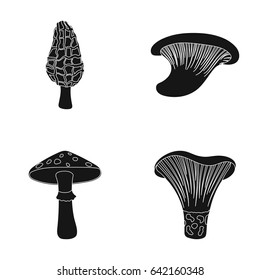 Morel, oyster, green amanita, actarius indigo.Mushroom set collection icons in black style vector symbol stock illustration web.