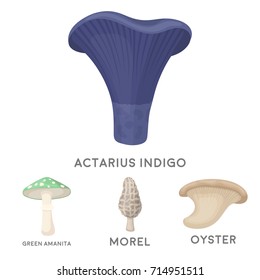 Morel, oyster, green amanita, actarius indigo.Mushroom set collection icons in cartoon style vector symbol stock illustration web.