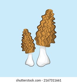 Morels are drawn by hand. Organic healthy food, mushrooms. Packaging design, menus, recipes. Vector illustration.