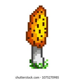 The Morels Mushrooms. Pixel Art. Vector.